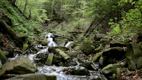 Mountain-river-flowing-between-stones-in-green-forest.-Mountain-waterfall