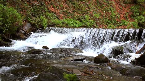 Bergwasserfall-Im-Tiefen-Wald.-Wasserstrom-Am-Gebirgsfluss