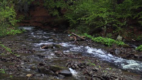 El-Río-De-Montaña-Fluye-En-El-Bosque-Oscuro.-Hermoso-Paisaje-Con-Arroyo-En-El-Bosque