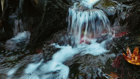 Flujo-De-Agua-Fría-De-Manantial-En-El-Parque.-Río-Salvaje-Que-Fluye.-Concepto-De-Recursos-Naturales