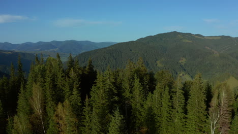 Drohnenmorgen-In-Den-Bergen,-Grün,-Schöne-Bäume,-Wald,-Wolkenloser-Himmelshintergrund