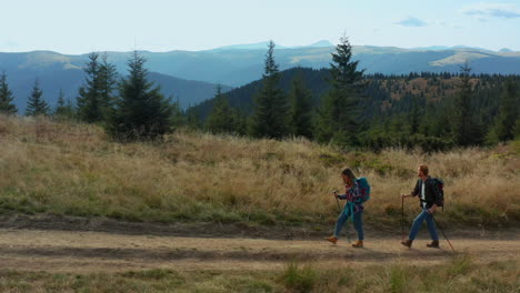 Two-people-trekking-hills-exploring-mountain-land-among-green-spruce-woods
