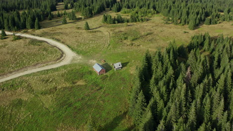 Drone-view-mountain-barn-road-path-among-green-spruce-trees-sunny-warm-day