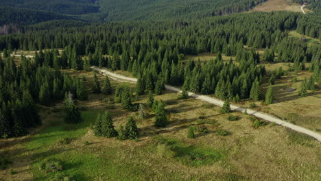 Road-in-rocky-forest-aerial-view-warm-sunny-summer-day-green-spruces-background