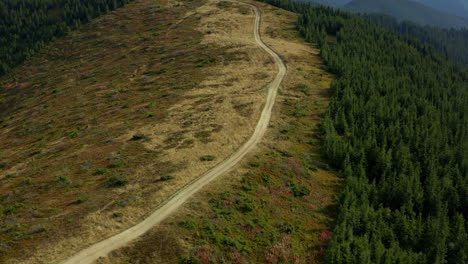Aerial-mountain-woods-road-for-tourists-among-peaceful-hills-forest-growing