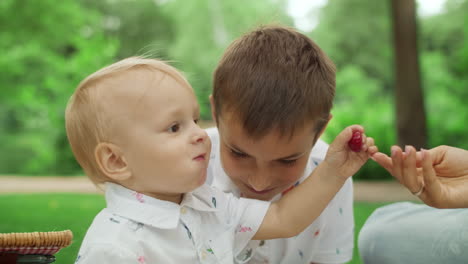 Mother-and-sons-having-picnic-in-park.-Toddler-taking-cherry-from-mother-hand