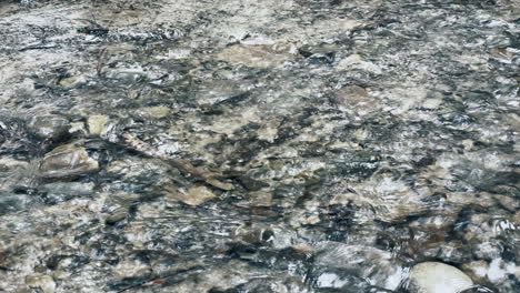 Pure-river-water-stream-in-gravel-background-macro.-Closeup-swift-mountain-river