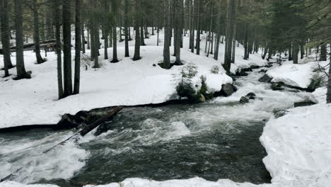 Boulders-in-river-and-winter-snow.-Fast-stream-in-winter-forest.-Mountain-river.