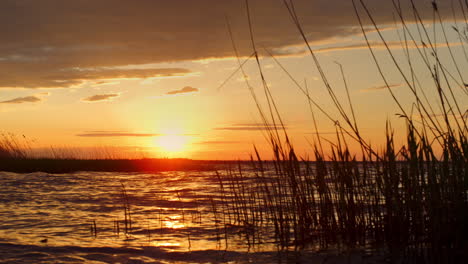 Sunset-beach-water-horizon-shining-golden-hour-in-beautiful-nature-landscape.