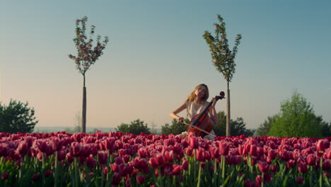 Junge-Frau-Spielt-Cello-Mit-Inspiration-Im-Blühenden-Tulpenfeld