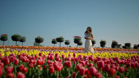 Laughing-girl-with-camera-running-in-tulip-field.-Woman-walking-among-flowers.