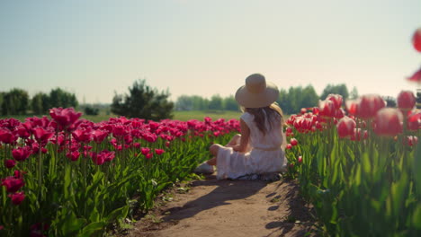 Camera-moving-along-road-in-red-tulips-field-with-girl-in-hat-sitting-in-flowers