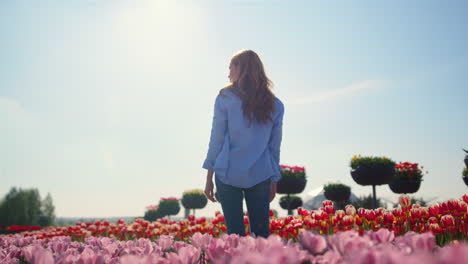 Back-view-of-young-woman-standing-in-beautiful-flower-field-in-bright-sunshine.
