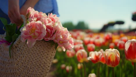 Closeup-beautiful-blooming-flowers-in-basket.-Unknown-woman-walking-with-bouquet