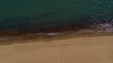 Aerial-sandy-beach-view-with-calm-blue-sea-waves-breaking-on-peaceful-seashore.