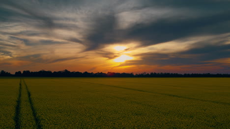 Cielo-De-Nubes-Doradas-Al-Atardecer-En-El-Campo-De-Colza.-Cielo-Azul-Atardecer-Naranja-En-El-Campo-De-Violaciones