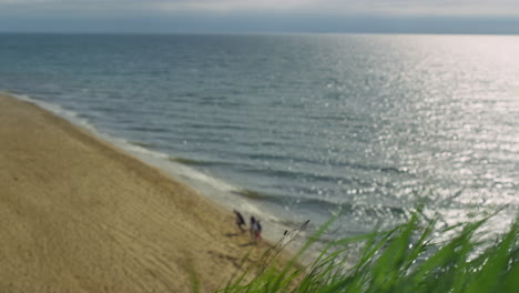 People-enjoy-sea-landscape-sandy-beach.-Ocean-waves-crashing-outside-aerial-view