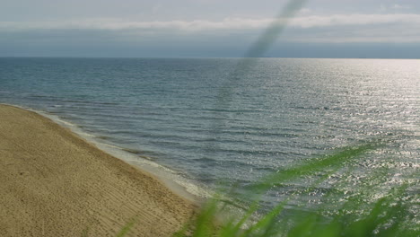 Luftaufnahme,-Leerer-Strand,-Meeresufer.-Gras-Weht-Wind-Durch-Krachende-Meereswellen.