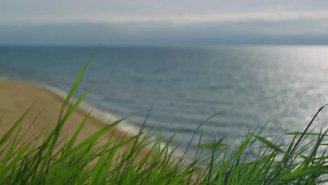 Grass-moving-sea-beach-outdoors.-Ocean-waves-crashing-in-sand-shore-top-view.