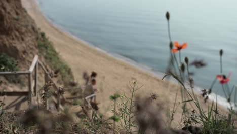 Happy-pair-standing-staircase-beach-with-wildflowers-on-foreground.-Couple-rest.
