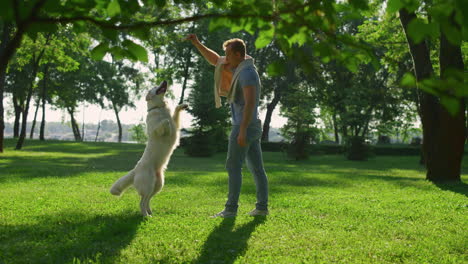Dog-owner-training-retriever-stand-on-hind-paws-trick.-Man-raise-hand-with-food.