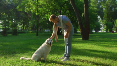 Blonde-man-petting-golden-retriever.-Concentrated-dog-sit-look-aside-in-park