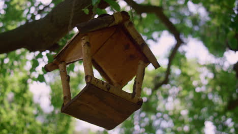 Bird-feeder-hanging-on-tree-on-sunlight-close-up.-Cute-birdhause-located-in-park