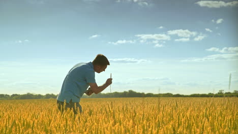 Agronom-Untersucht-Weizenähren-Auf-Dem-Feld.-Agrarwissenschaft