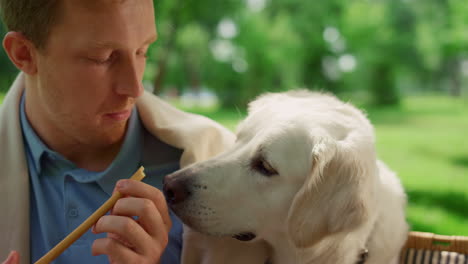 Closeup-attractive-man-feeding-cute-dog-on-picnic.-Labrador-sniffing-bread-stick