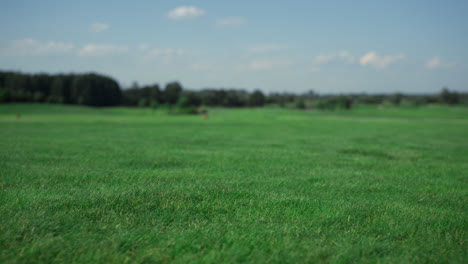 Blick-Auf-Die-Landschaft-Des-Golfplatzes-Im-Country-Club.-Gras-Fairway-An-Einem-Sonnigen-Sommertag.