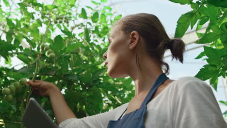 Closeup-agriculture-worker-inspecting-cultivation-process-device-in-greenhouse