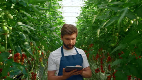 Agro-scientist-inspecting-growth-tomato-plantation-tablet-in-modern-greenhouse