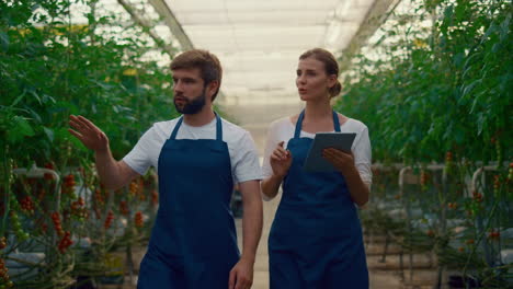 Entrepreneur-couple-inspect-vegetables-plantation-using-tablet-pad-in-greenhouse