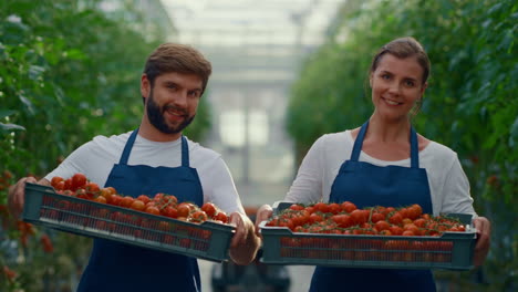 Two-farmer-looking-camera-holding-organic-vegetable-box-tomato-in-greenhouse.