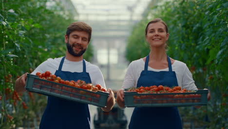 Dos-Agricultores-Propietarios-De-Negocios-Mostrando-Tomate-De-Cesta-De-Verduras-En-Una-Casa-De-Plantación.
