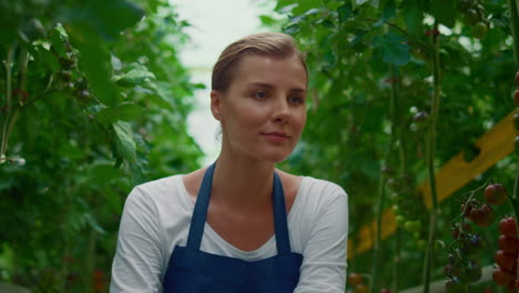 Hermosa-Mujer-Agricultora-Inspecciona-La-Plantación-De-Tomates.-Cultivador-De-Vegeculture-Fresco-Maduro.