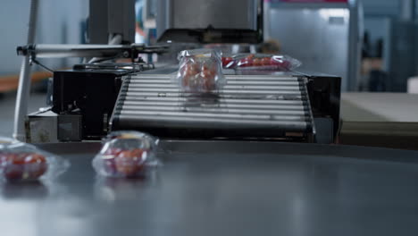 Tomato-plastic-packs-moving-at-technological-conveyor-belt-machine-close-up