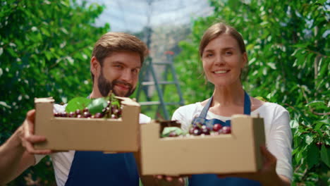 Couple-farmers-presenting-cherries-box-in-local-business-agriculture-plantation.