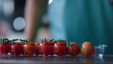 Fabrik-Tomaten-Box-Verpackungsprozess-Arbeiter-Hände,-Die-Rote-Bio-Lebensmittel-In-Nahaufnahme-Sortieren