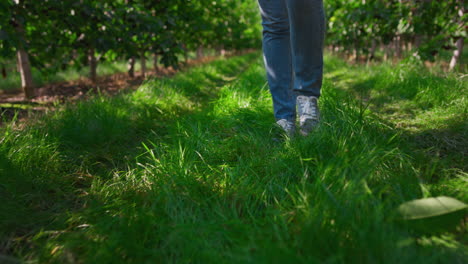 Closeup-gardener-foots-plantation-going-to-farmland-on-green-fresh-grass-concept