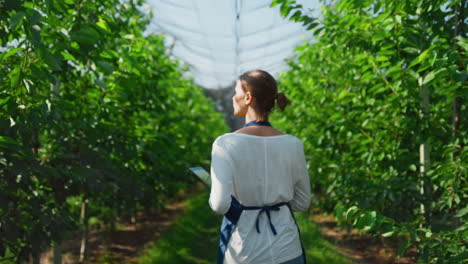 Mujer-Agroespecialista-Inspeccionando-El-Crecimiento-De-Las-Plantas-En-Invernadero-Cálido-Con-Tableta