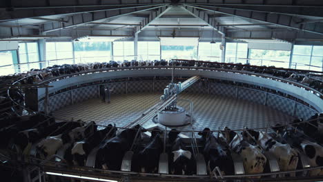 Carrusel-De-Vacas-Lecheras,-Instalación-De-Producción-De-Lácteos.-Vista-Interior-Del-Salón-Moderno.