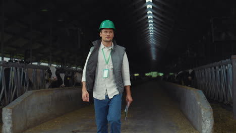 Farm-worker-walking-barn-alone.-Holstein-cows-standing-eating-in-feedlots.