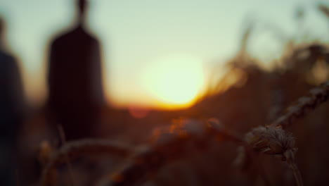 Farmers-silhouettes-walking-wheat-field.-Spikelets-in-golden-sunlight-closeup