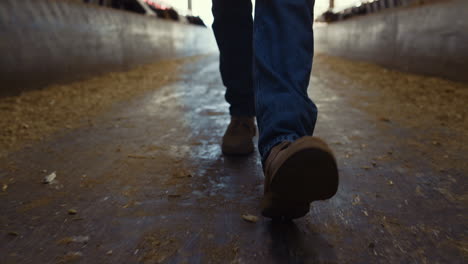 Farmer-boots-walking-shed-closeup.-Confident-agribusiness-owner-inspect-feedlots