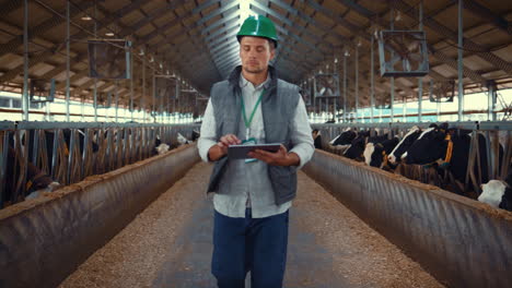 Dairy-farmer-walking-aisle-in-cowshed.-Hands-tapping-tablet-screen-closeup.