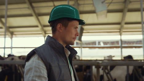 Man-farmer-walking-cowhouse-in-helmet-closeup.-Professional-cattle-breeder.