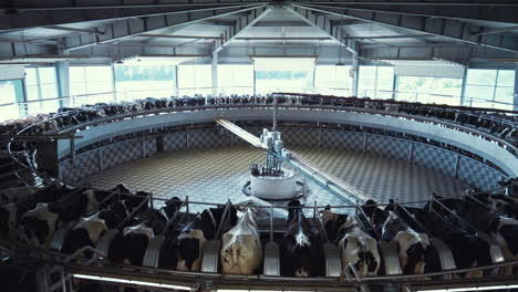 Modern-milking-carousel-at-dairy-production-farm.-Farming-industry-machinery.