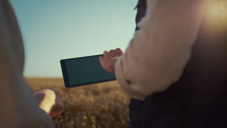 Hands-touching-chromakey-tablet-at-wheat-field-closeup.-Modern-agritech-industry