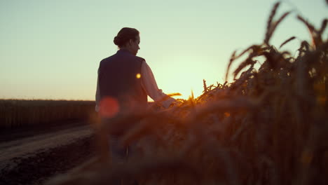 Silhouette-farmer-touching-wheat-spikelets.-Beautiful-rural-landscape-at-sunset.